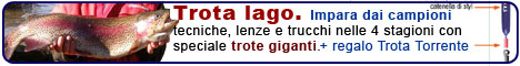 4 guide gratuite per la trota lago