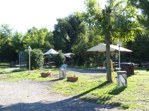 Ingrandisci 