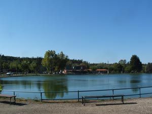 Ingrandisci 