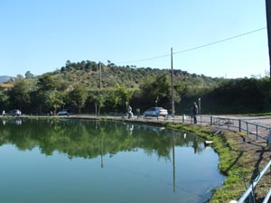 Ingrandisci 