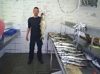 Ingrandisci