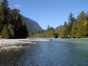 Ingrandisci