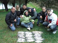 Ingrandisci 