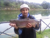Ingrandisci trota salmonata