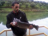 Ingrandisci 