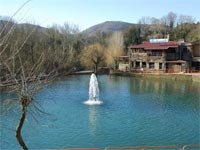 Ingrandisci 