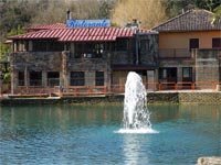 Ingrandisci 