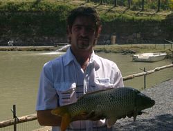 Ingrandisci 