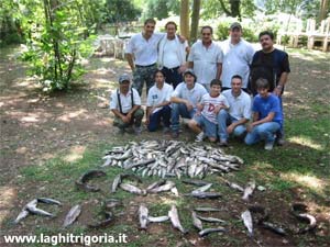 Ingrandisci Un centinaio di trote