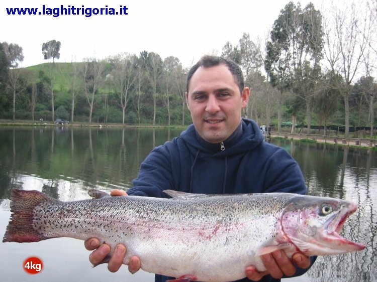 Ingrandisci Trota da 4kg