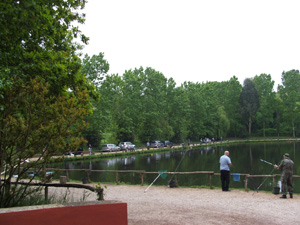 Ingrandisci 