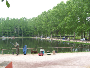 Ingrandisci 