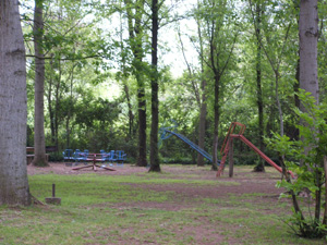 Ingrandisci 