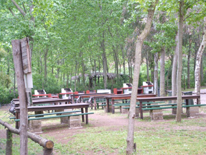 Ingrandisci 