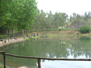 Ingrandisci 