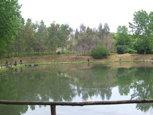 Ingrandisci 