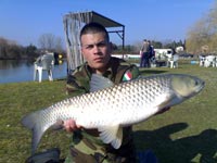 Ingrandisci 