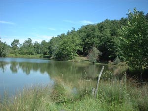 Agriturimo Rapolano Terme a Siena con lago popolato da lucci, carpe, black bass da record....