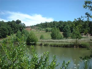 Agriturimo Rapolano Terme a Siena con lago popolato da lucci, carpe, black bass da record....