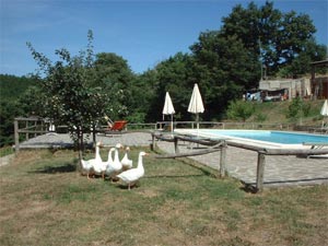 Agriturimo Rapolano Terme a Siena con lago popolato da lucci, carpe, black bass da record....