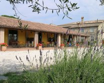 Agriturismo Arlena, sulle rive del lago di Bolsena
