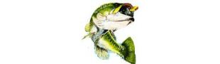 BASS and PIKE TACKLE