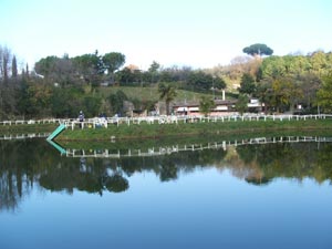 Ingrandisci Lago La Palma