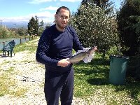 Ingrandisci: Pesce gatto al lago starza della regina