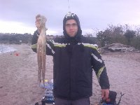 Ingrandisci: Polpo di oltre 2kg a Montepaone Lido