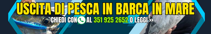 Uscite di pesca in mare