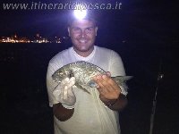 Barracuda di 1.6kg preso con un Maver Skirt affondante