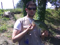     black bass2  