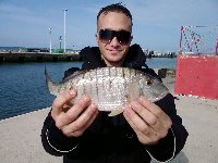     Spigola di 6kg al canale di Fiumicino  