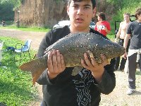     trota lago 4.50 kg  