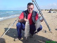     pesce serra a scoglitti  