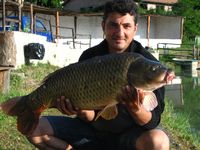 Ingrandisci 