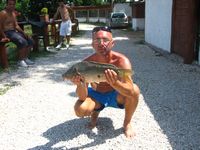 Ingrandisci 