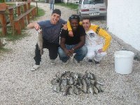 Ingrandisci 