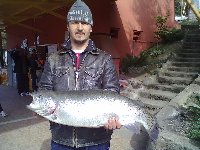 Ingrandisci mega trota 6.800kg