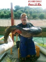 Ingrandisci armando 23 kg pescegatto