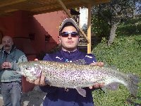 Ingrandisci mirko 3.500 kg