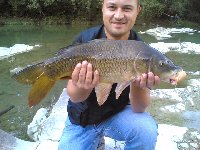     Carpa a speccio a Subbiano  