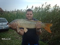     Carpa di 10kg a roubasienne  