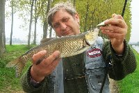     Nasen sul Drava piccola in Carinzia  