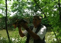     Luccio di oltre 11kg sul Po a Casale Monteferrato  