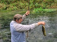     Luccio a lago privato a Trino  