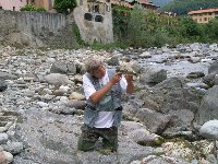     Barbo sul Ticino a Cameri  