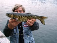     Nasen sul Drava piccola in Carinzia  