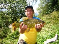     Gobione sul Torrente cervo a Biella  