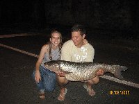     Carpa regina con mais alla mandorla  